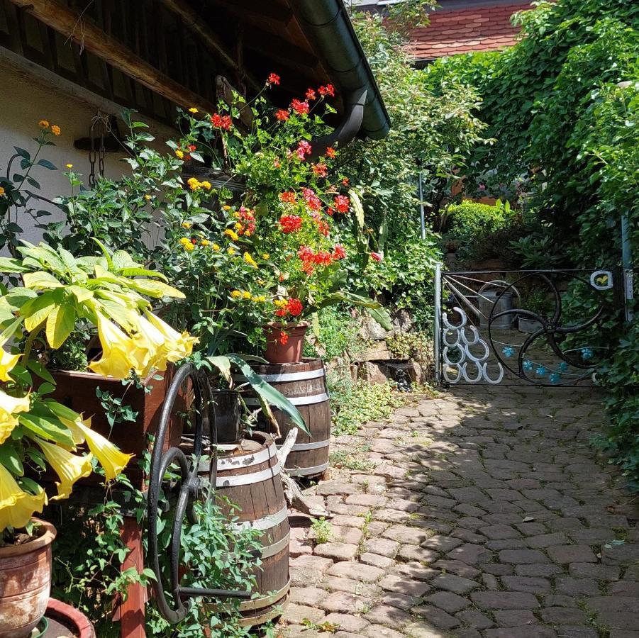 Beim Schlafwandler Daire Karlsbad Dış mekan fotoğraf